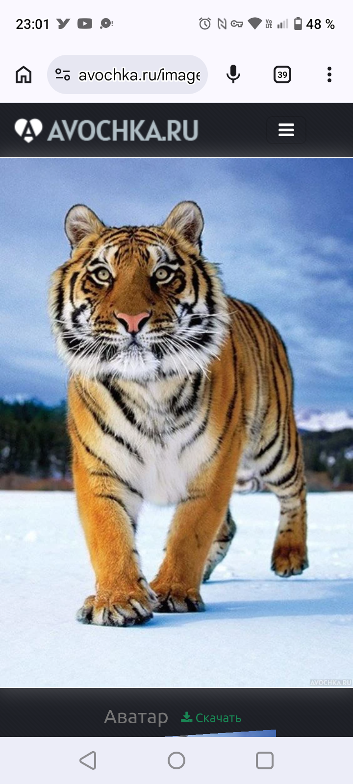 Avatar